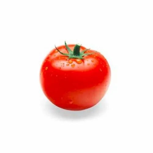 Fresh Tomato