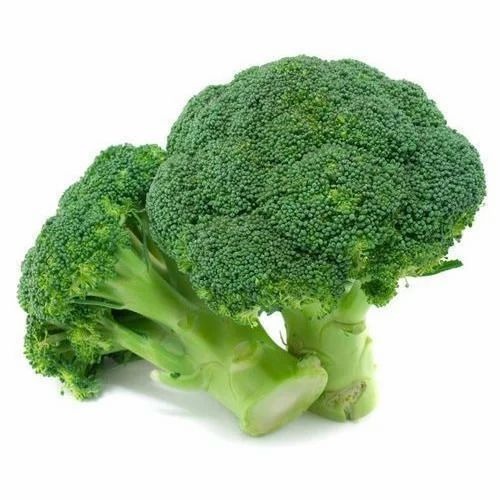 Green Broccoli - Chopped, Cooked | Net Bag, PP Bag, Crate, Available Sizes: 5 Kg, 10 Kg, 20 Kg, 50 Kg, Potassium: 316 mg/100g, Protein: 2.8 g/100g