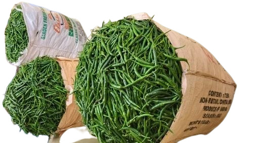 Green Chillies - Long Green Chilli A Grade Quality | Chopped Common Shape Cooked Style Cool and Dry Storage