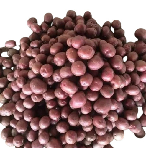 Lr Grade Potato - 50kg A Grade, Fresh Red Chopped Potatoes for Cooking | Common Shape, Cold Storage Processed Flavor