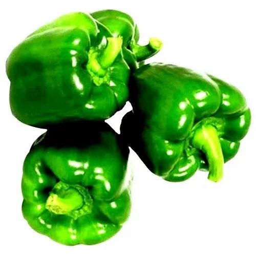 Organic Green Capsicum - A Grade, 50kg Fresh Cold Storage Packaging | Chopped, Common Shape, Cooked Style