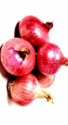 Red Onion - A Grade, 50kg Cold Storage, Fresh Cooking Ingredient | Chopped Form, Common Shape, Cooked Style, Vibrant Red Color