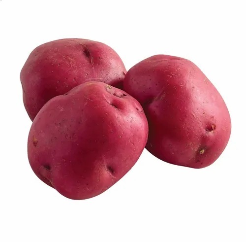 Red Potato - Organic A Grade, Red Color | Chopped Processing Form, Common Shape, Cooked Style