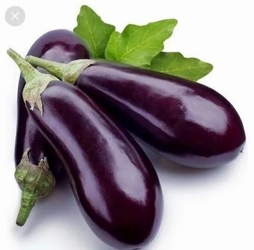 Fresh Brinjal - Chopped Common Shape Purple | A Grade Quality Fresh Taste High Nutritional Value Optimum Cooking Style
