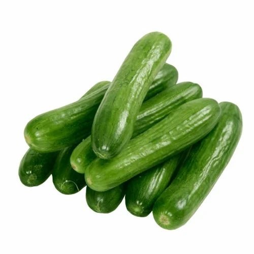 Fresh Cucumber - Organic, A Grade, Fresh | Chopped, Common Shape, Cooked Style, No Preservatives, Pesticide Free, No Artificial Flavour