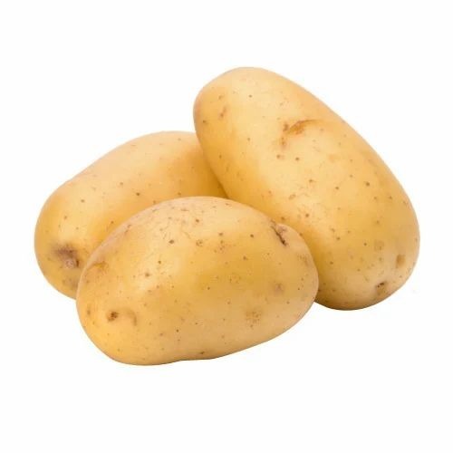 Fresh Potatoes - Organic, A Grade, Fresh | No Preservatives, Pesticide Free, Chopped Style, Common Shape, Cooked Application