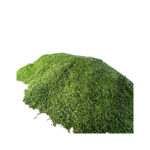 Green Chilli - Finger Shape, Fresh Style, 10 Days Shelf Life | Healthy and Nutritious for Cooking and Human Consumption