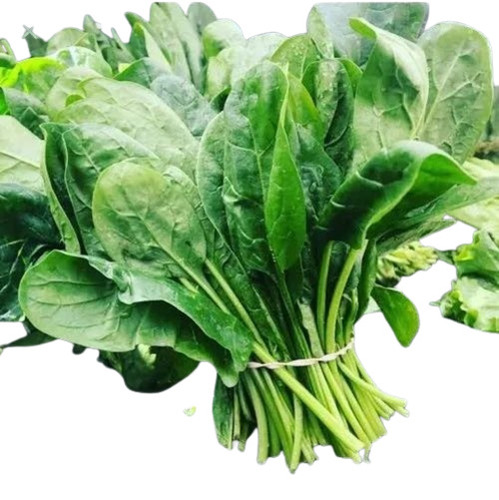 Indian Spinach - Chopped, Common Shape, Green | A Grade Fresh Quality, High Nutritional Value, Rich in Taste, Optimum Quality
