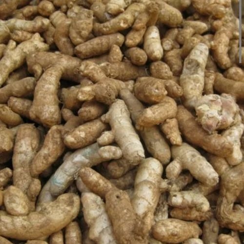 Mango Ginger - Chopped, Fresh Brown | A Grade, Rich in Taste, Hygienically Packed, Cooked, Common Shape