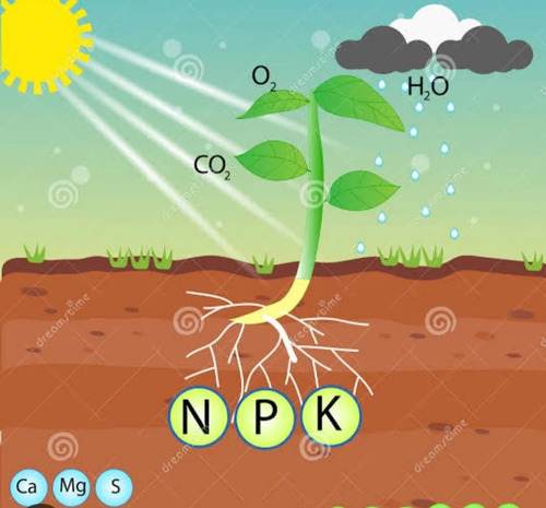 Plant Nutrient Growth Promoter