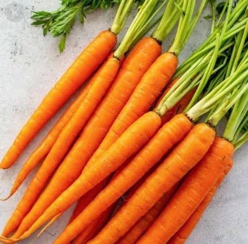 Red Carrot - Chopped, Common Shape, Cooked Style | A Grade Fresh Quality, Rich Taste, High Nutritional Value