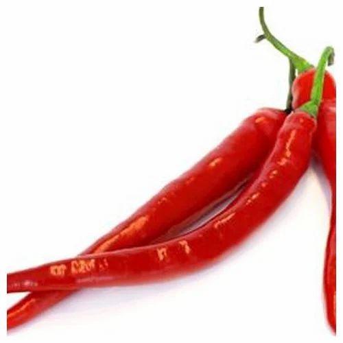 Red Chilli - Chopped, Fresh Red Color | Hygienic and Pure, Long Shelf Life, Quality Tested