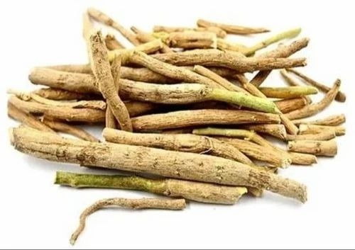 Ashwagandha Root - Dried Herbs, Loose Form | 99% Purity, Brown Color, Scientific Name: Withania somnifera