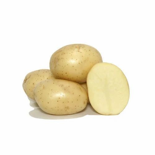 Atlantic Potatoes - A Grade Fresh Brown Vegetables | Chopped Style, Common Shape, Cooked Application