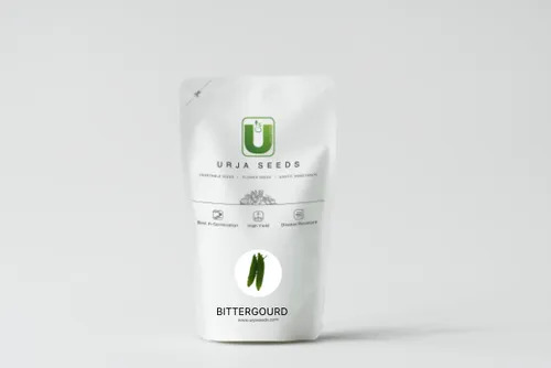 Bitter-Gourd US (F-1 555 - Imported) Seeds