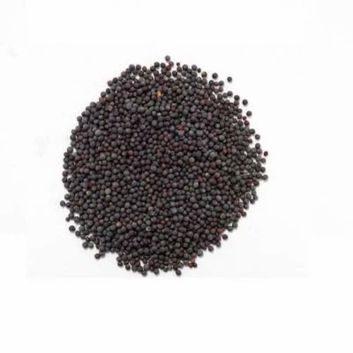 Black Mustard Seed