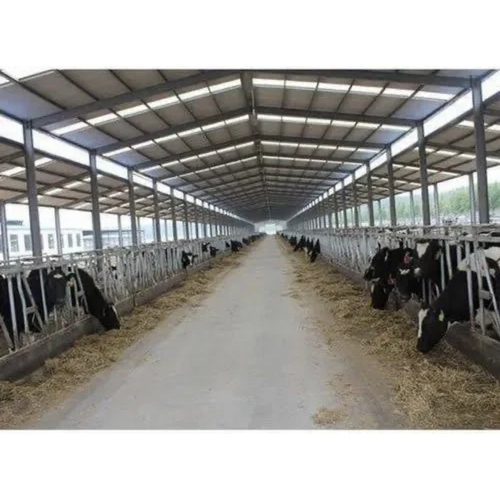 Dairy Shed - Color: Black