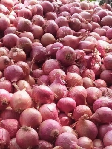 Fresh Onion - 50 Kg, A Grade Red Quality, Chopped Cooked Style