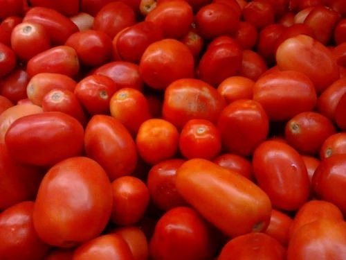 Fresh Tomato - Chopped Common Shape Cooked Style | A Grade Fresh Red Taste Enhancer Useful for Chutney Free from Preservatives