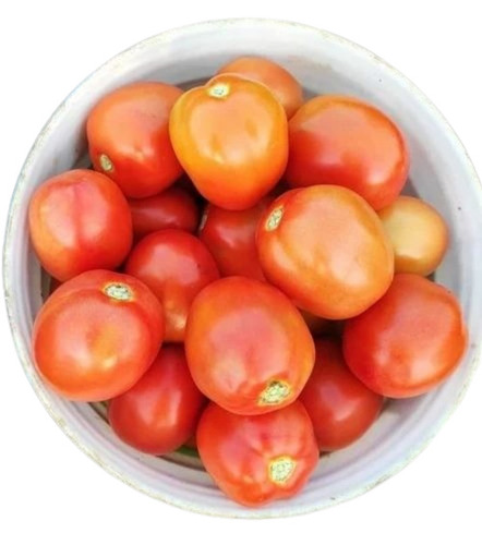 Fresh Tomato - A Grade Red, Chopped Form for Cooking, Ideal for Human Consumption