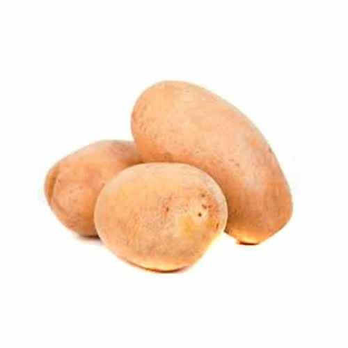Kufri Potatoes - A Grade Fresh Brown Fresh Vegetables | Chopped Processing Form Common Shape Cooked Style