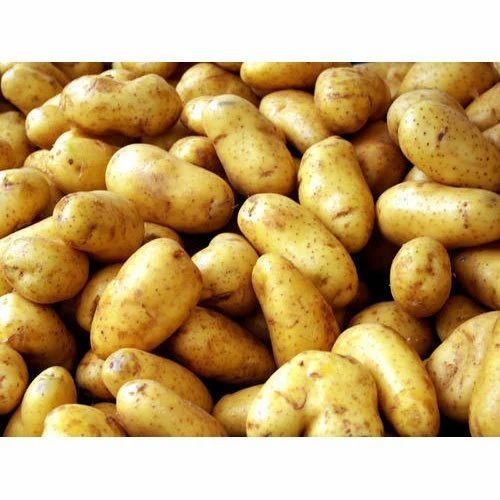 Laucker Potatoes - A Grade, Fresh Brown Vegetables | Chopped Processing Form, Common Shape, Cooked Style