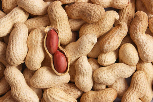 Raw Peanut  - Flavor: Nut