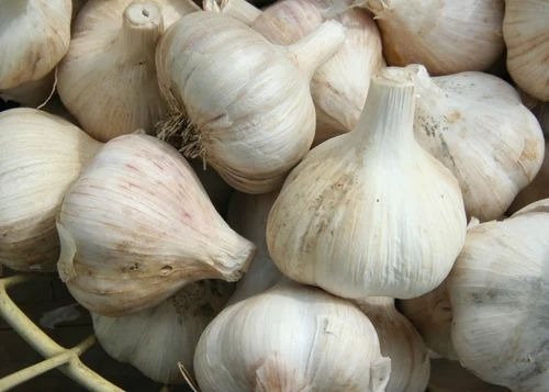 White Garlic - Chopped Common Shape White Color | Fresh Quality High Medicinal Value Natural Farming Techniques Used