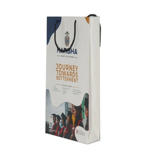 Designer Paper Bag - 2 Kg Capacity, Multicolor, Biodegradable | Moisture Proof, Recyclable, Printed Style, Rope Handle