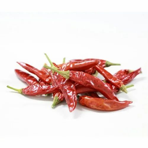 A Grade Organic Dry Red Chilli - 5 Kg Jute Bag, 14% Max Moisture, Spicy Flavor, 12 Months Shelf Life, Store in Cool Dry Place