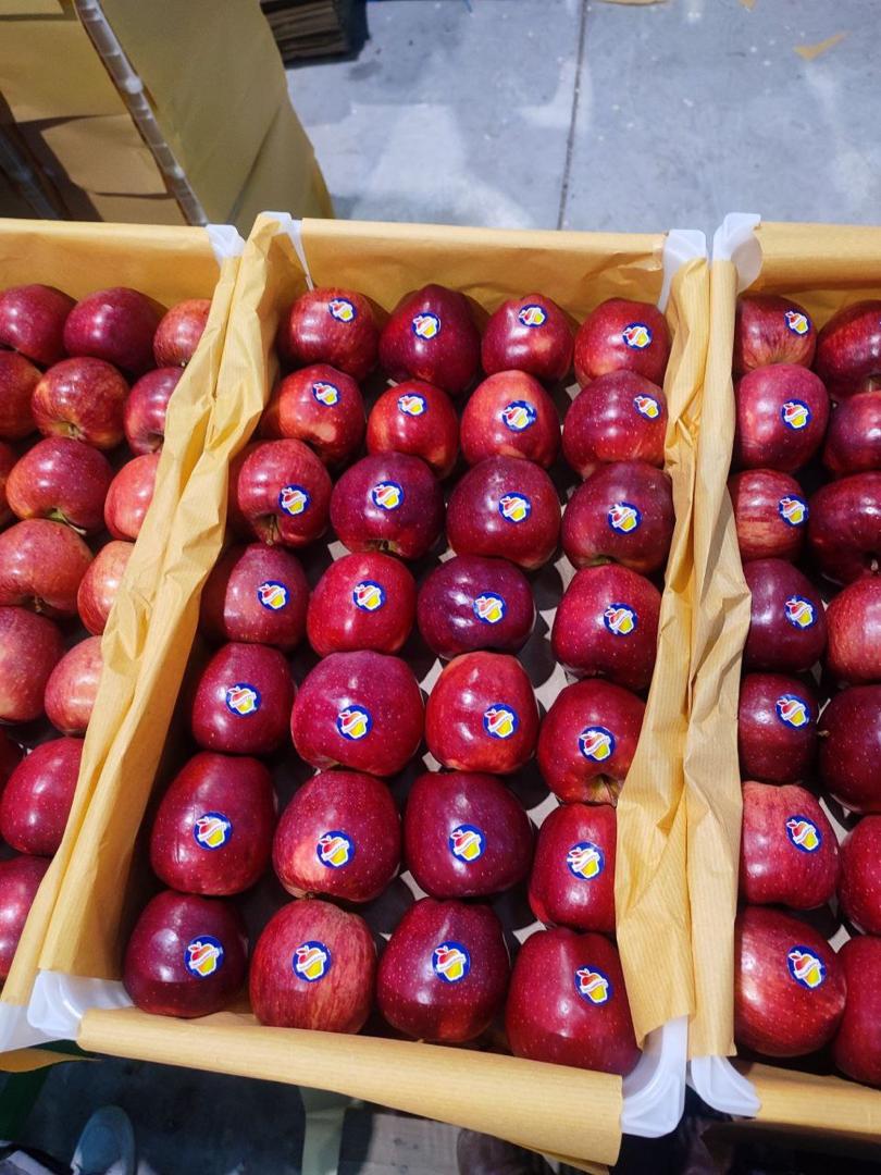 FRESH APPLE