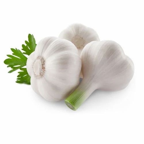 ताजा लहसुन