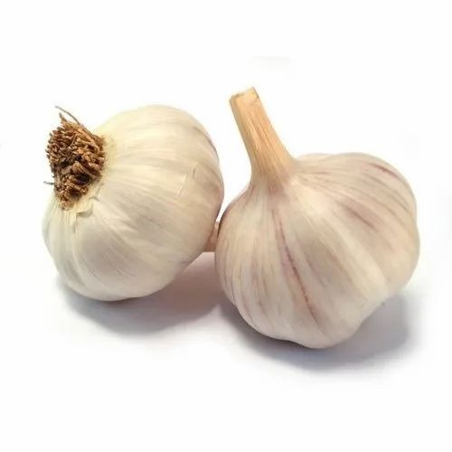 Fresh Garlic - Shape: Common