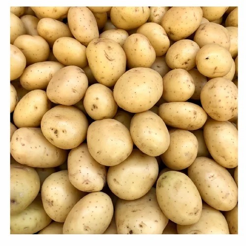 Fresh Organic Potato - Shape: Common