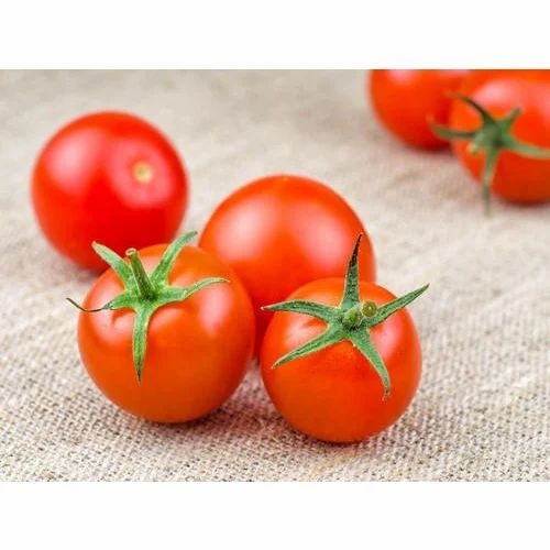 Fresh Organic Tomato - Organic, A Grade, Fresh Condition | Chopped, Common Shape, Cooked Style