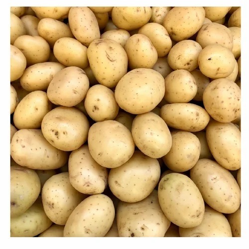 Fresh Potatoes