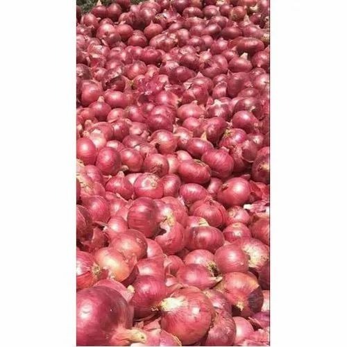 Fresh Red Onion - Organic Medium Size, 50 Kg Storage in Gunny Bag | Shelf Life 25-35 Days, Common Shape, Chop Style