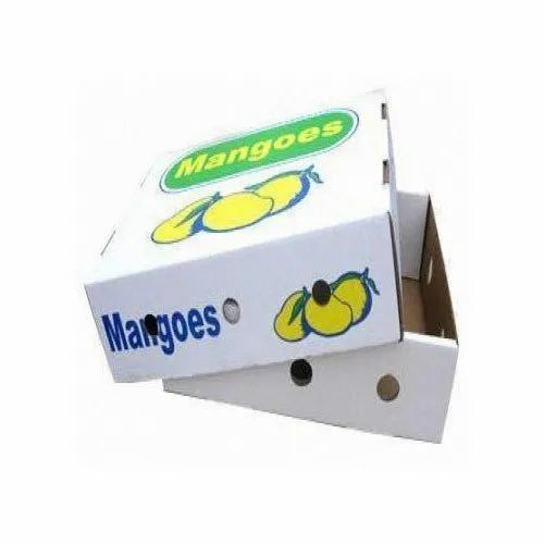 Fruit Packaging Boxes - Single Wall 3 Ply, 5-10 Kg Weight Capacity, Rectangular Shape, White Color, Biodegradable with Matte Finish