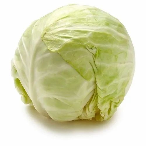 Green Cabbage - No Preservatives, A Grade Quality, Green Color, 1g Vitamin A per 100g, Common Shape, Chopped, Cooked Style, 4-5 Days Shelf Life