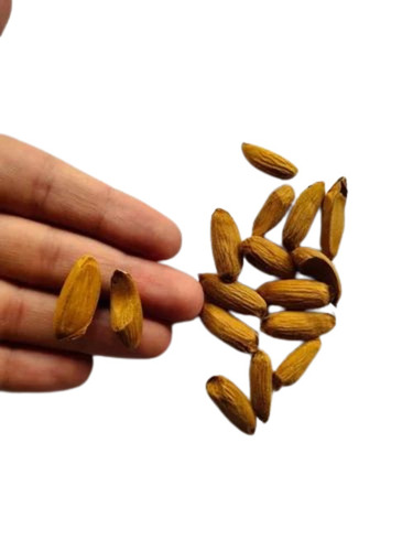 kashmiri almonds