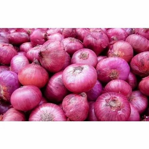 Nashik Red Onion - Organic B Grade, 20 Kg Gunny Bag | Chopped Style, 7 Days Shelf Life, 15% Vitamin C, 1.1g Protein per 100g