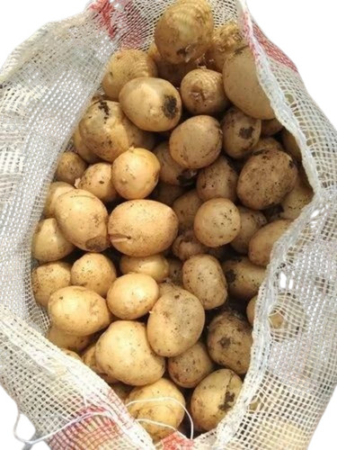 Pukhraj Potato - A Grade Quality, 60 kg Packed Size, Brown Color | Chopped Form, Cooked Style, Common Shape