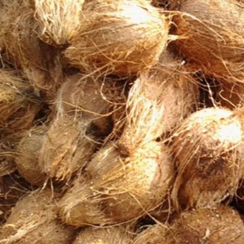 Semi Husked Coconut - 500gm to 650gm, Light Brown Color, A Grade Quality, 25 Nuts Per Bag, Fresh, High Protein Content