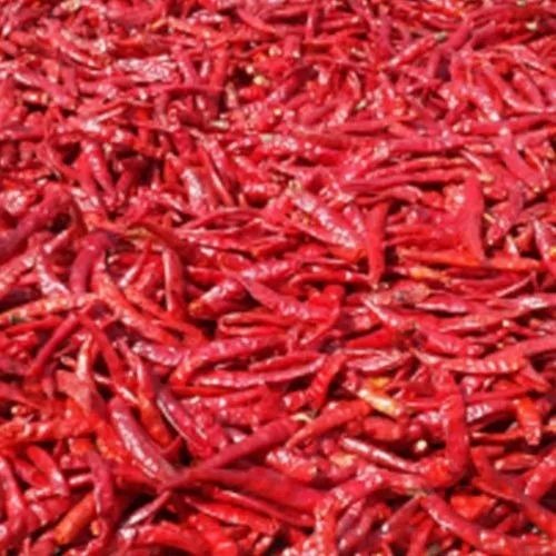 Stemless Red Chilli - Jute Bag (5/10/25/50 kgs), Bright Red Pods, 12% Max Moisture, 2% Max Loose Seeds, Spicy Taste, Cool & Dry Storage