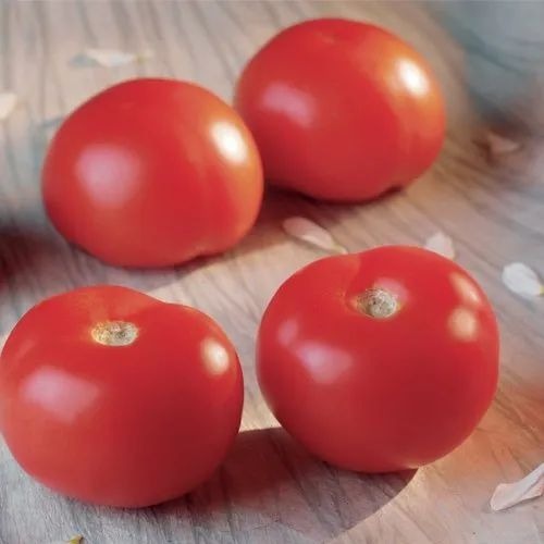Syngenta Tomato - Plastic, Chopped Form, Common Shape | Shelf Life: 4-5 Days, Total Fat: 0.2g per 100g, Cooked Style