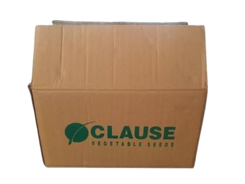 Vegetable Seeds Packaging Box