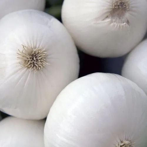 White Onion - A, B, C Grade | Organic, Minimum 20 Kg, Mesh Bag & Jute Bag Packaging, Shelf Life 7-10 Days, Common Chopped Style