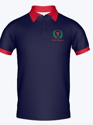 Boys Polo T Shirts - Color: Available All Colours