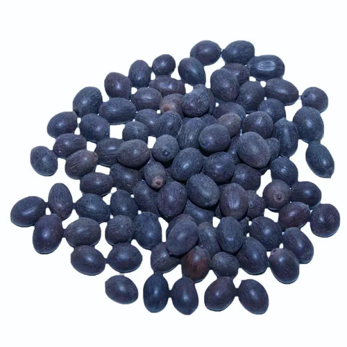 Kamal Gatta Lotus Seeds - Organic Herbal Grade Highly Pure Herbal Seeds for Natural Cultivation | Eco-Friendly Planting Options