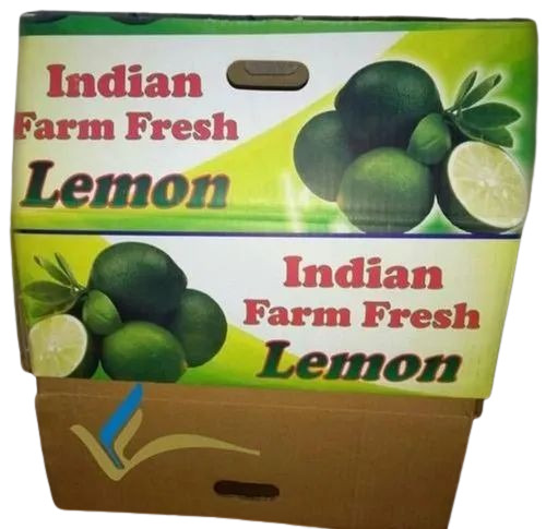 Lemon Fruit Packaging Box - 10 kg Capacity, Duplex Paper Material, Multi-Color Printed Design | Ideal for Citrus Fruit Storage and Packaging